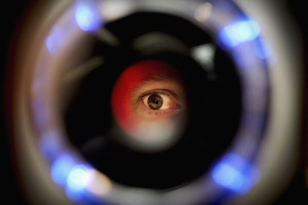 The Rise of Biodigital Surveillance