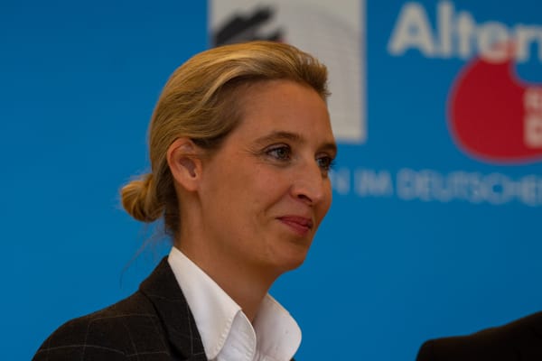 Germany Considers the Alternative