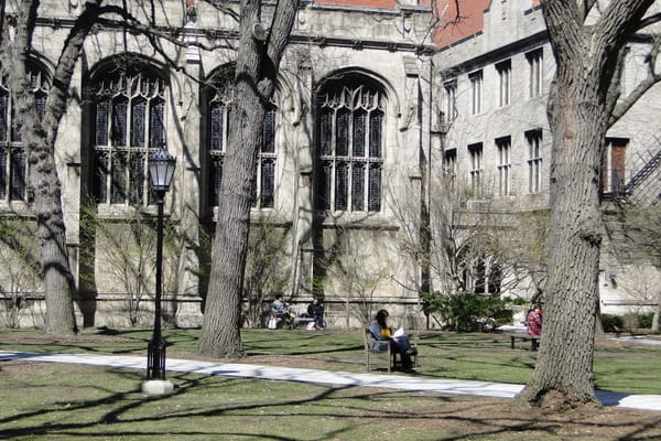 The Crisis of the University Started Long Before Trump